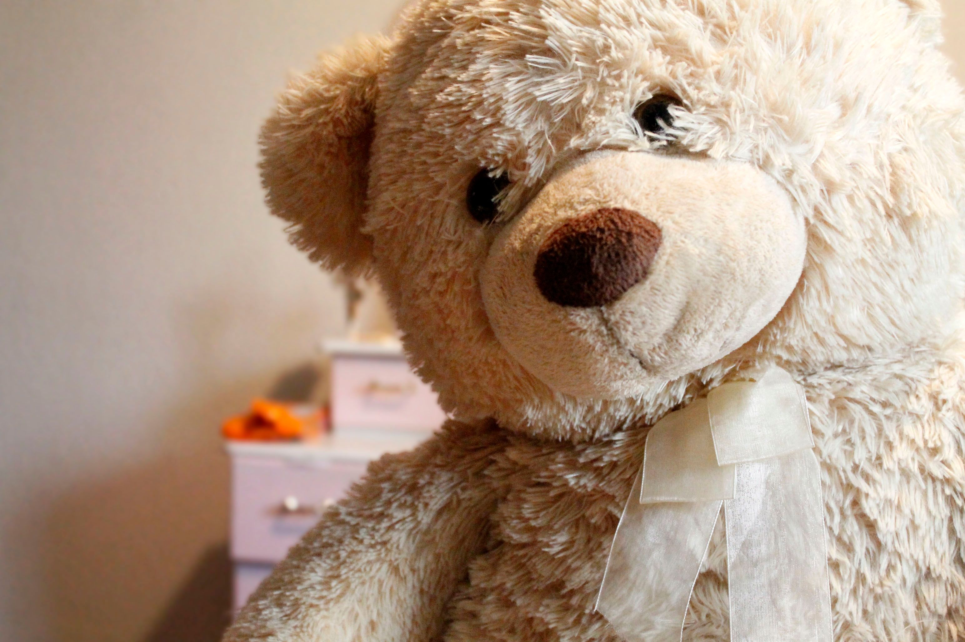 Classic Teddy Bear · Beige
